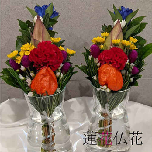 noendflower-se01